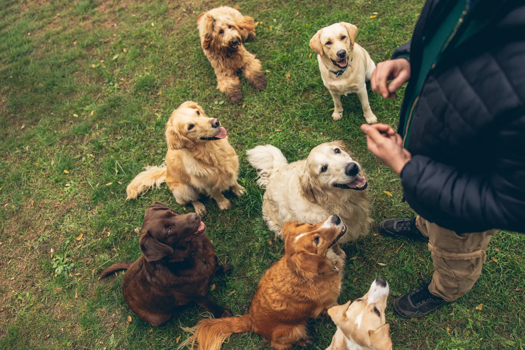 Helyben maradás profi módon